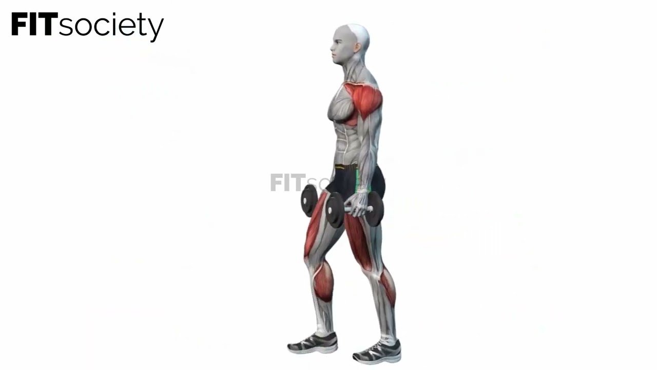 Dumbbell Farmer Walks - Exercise - Fitness Oefening - Fitsociety