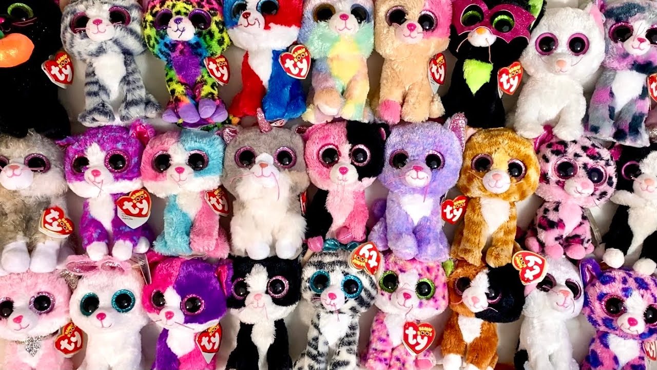 My Beanie Boo Cat Collection!