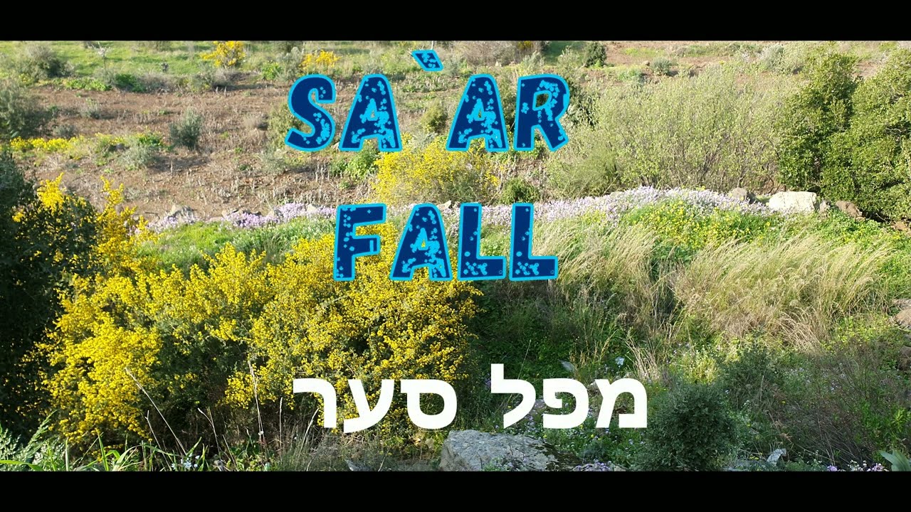 Waterfalls in Israel - Saar Waterfall Golan Heights / מפל סער - נחל חרמון