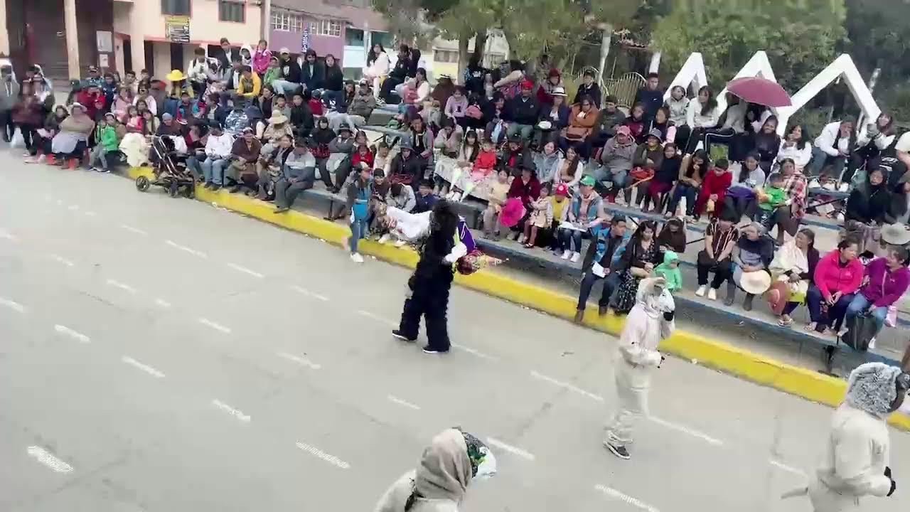 Ovejitas del municipio de Colomi