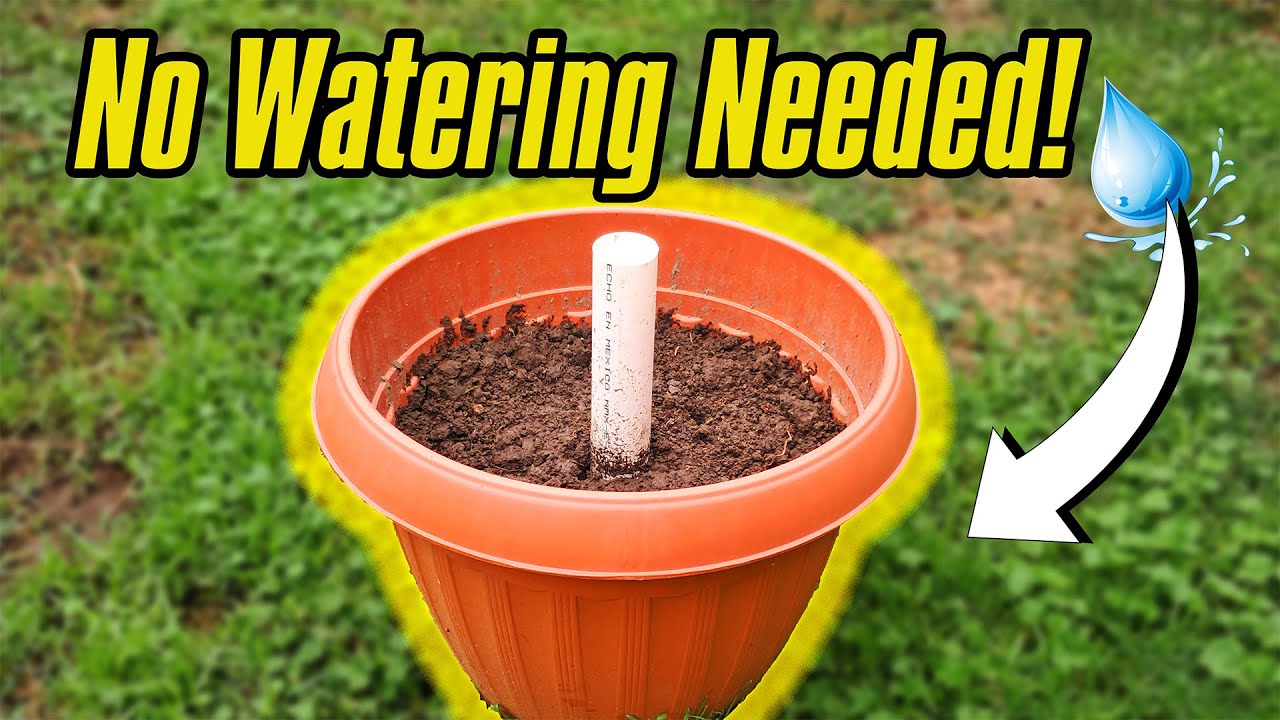 I Built This $10 DIY Auto Watering System for My Garden 🌱💧