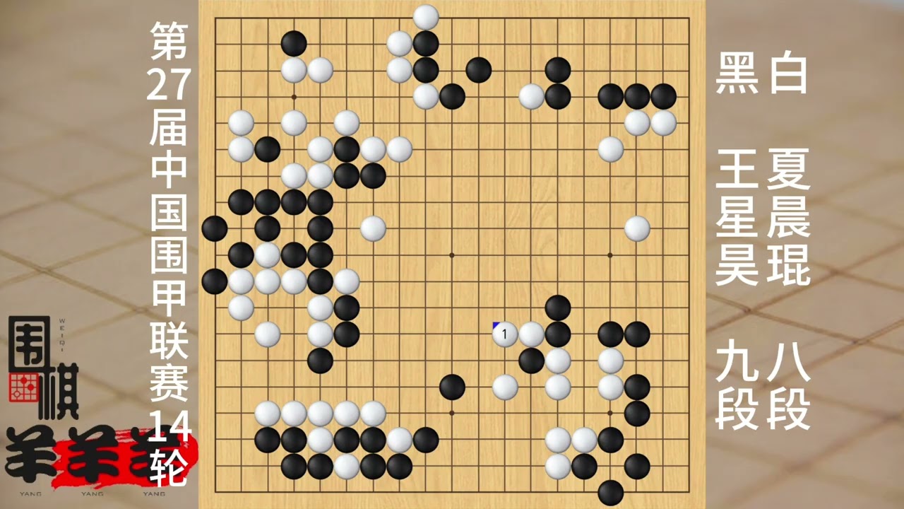 中國圍甲聯賽14輪爆出大冷門王星昊輸給夏晨琨，看看到底咋回事 #圍棋講解 #反套路 #圍棋介紹 #技能 #圍棋解說
