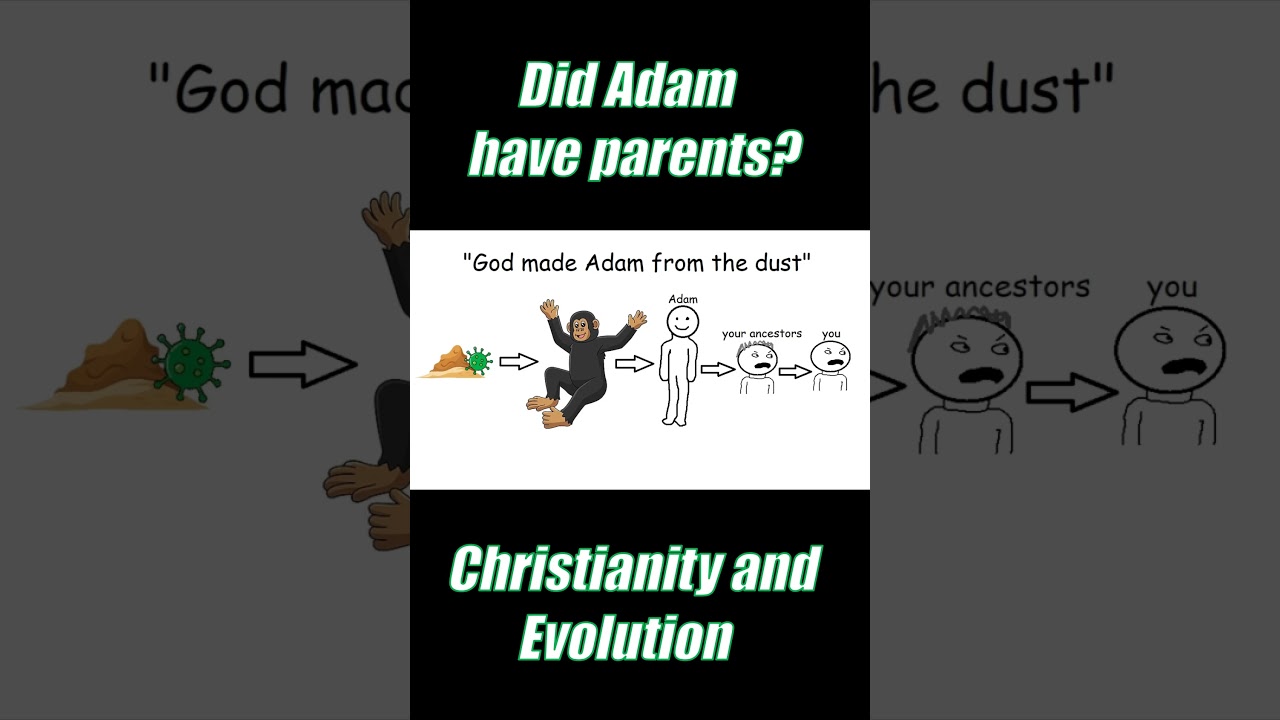Did Adam have parents? #evolution #christianity #godandscience