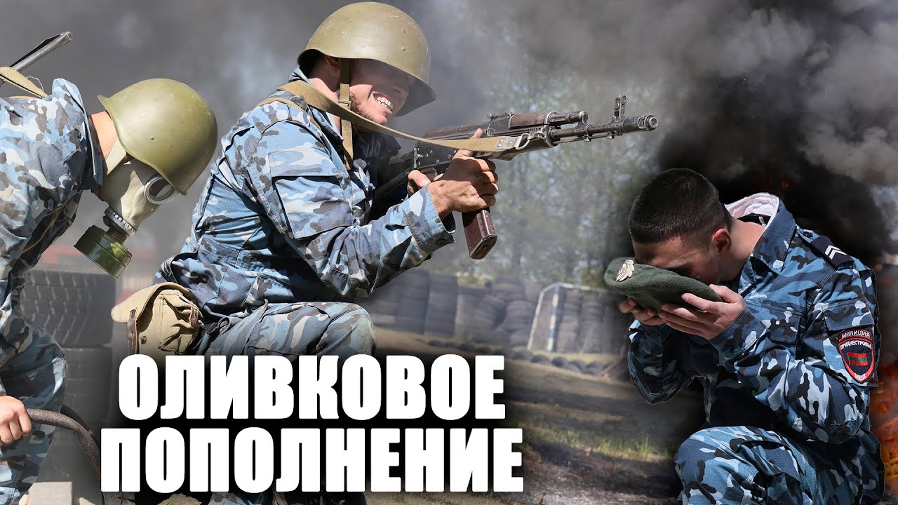Оливковое пополнение