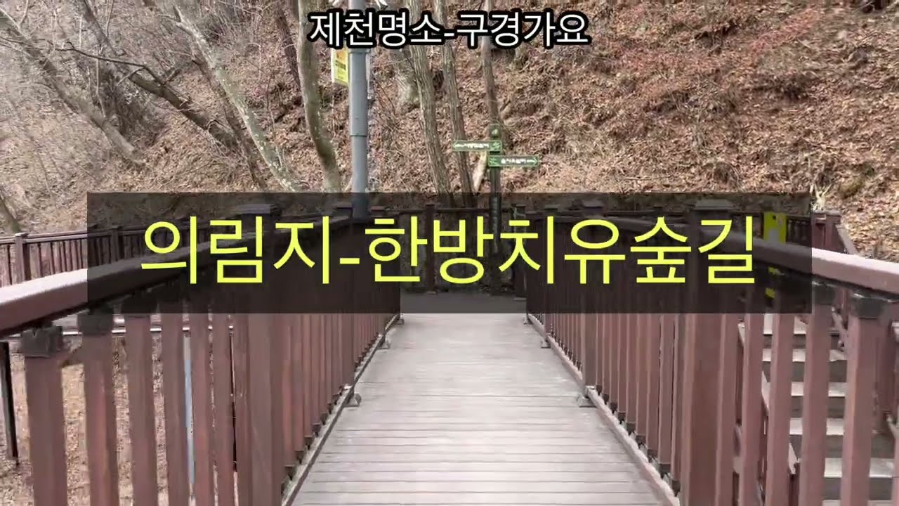 제2 의림지 숲길 #의림지 #한방치유숲길