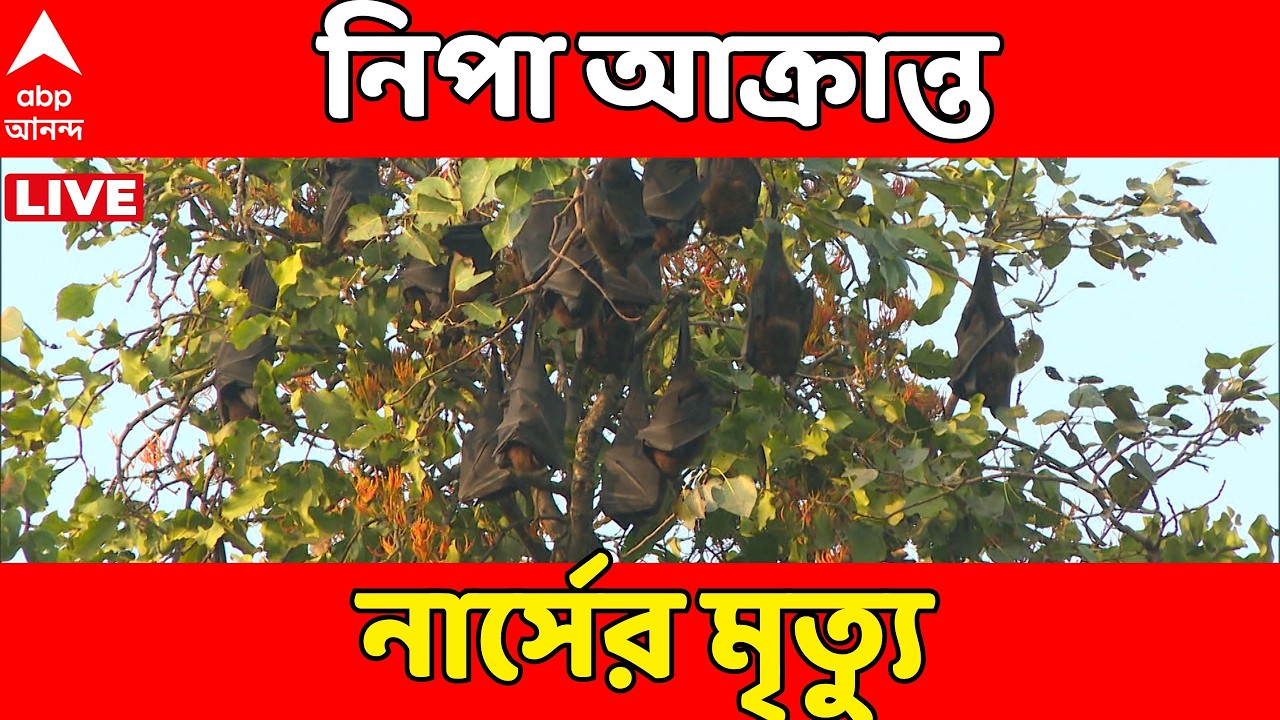 Nipah Virus Live: রাজ্যে নিপা আক্রান্ত নার্সের মৃত্যু, বারাসাতের নারায়না হাসপাতালে ভর্তি ছিলেন