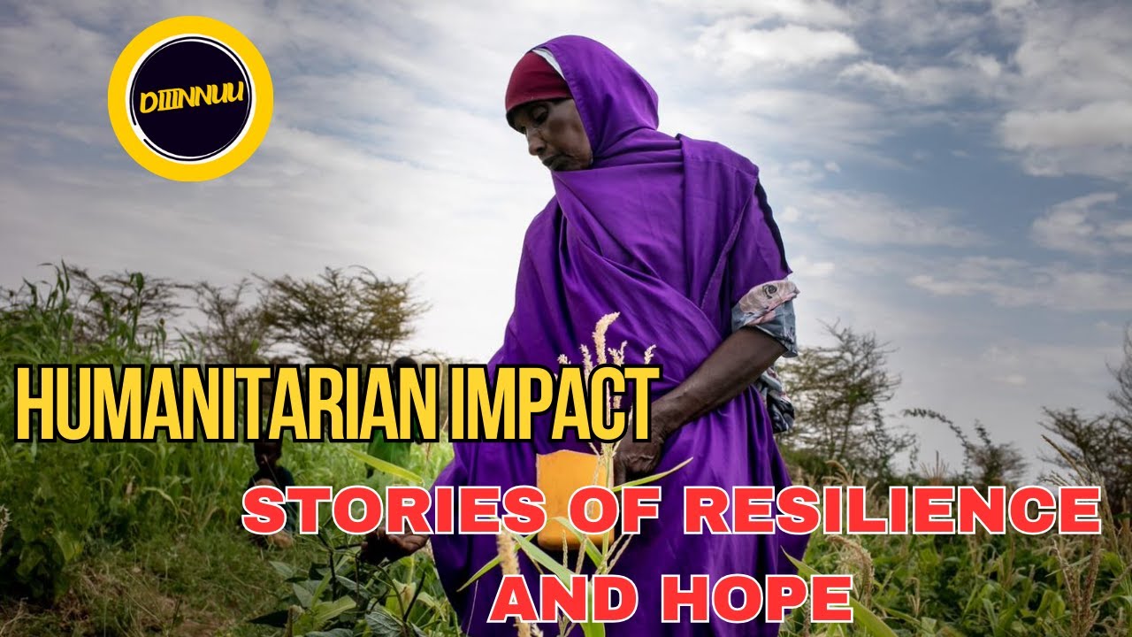 Humanitarian Impact: Stories of Resilience and Hope#HumanitarianImpact #StoriesOfResilience #ActsOf