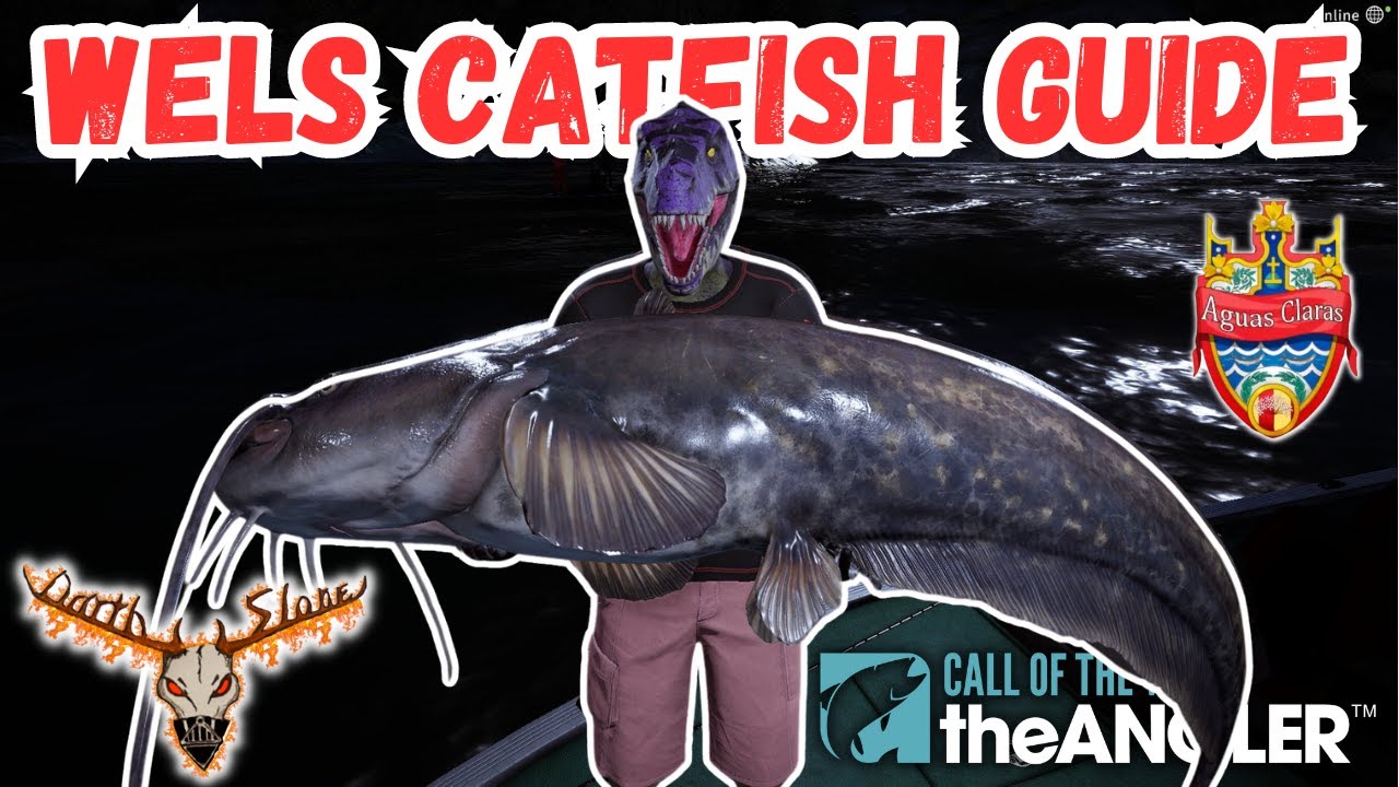 How To Catch Monster Wels Catfish! -the Angler