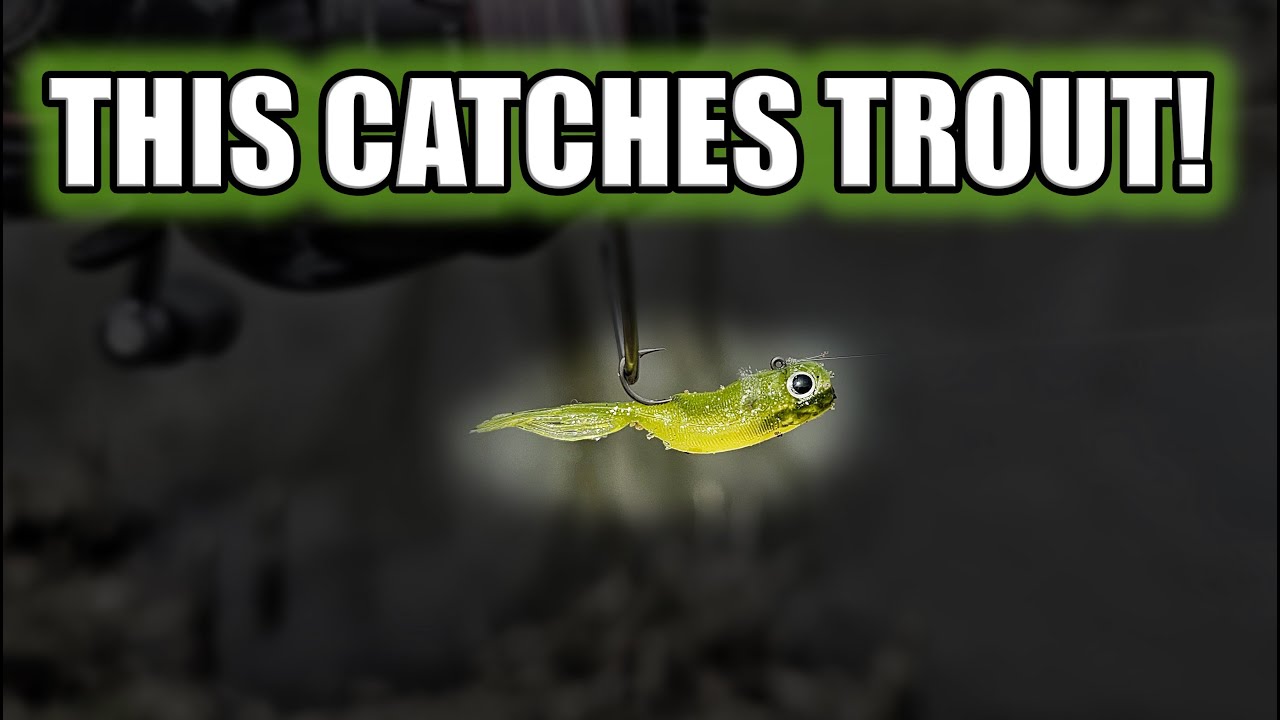 Micro Spine Rigging for Trout - Jackall Elise 1.5