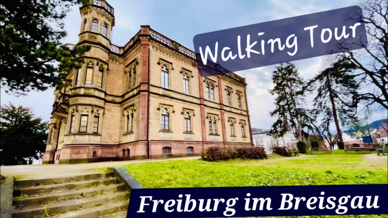 Wunderschönes Freiburg im Breisgau. Stadtrundgang (12. Februar 2025)