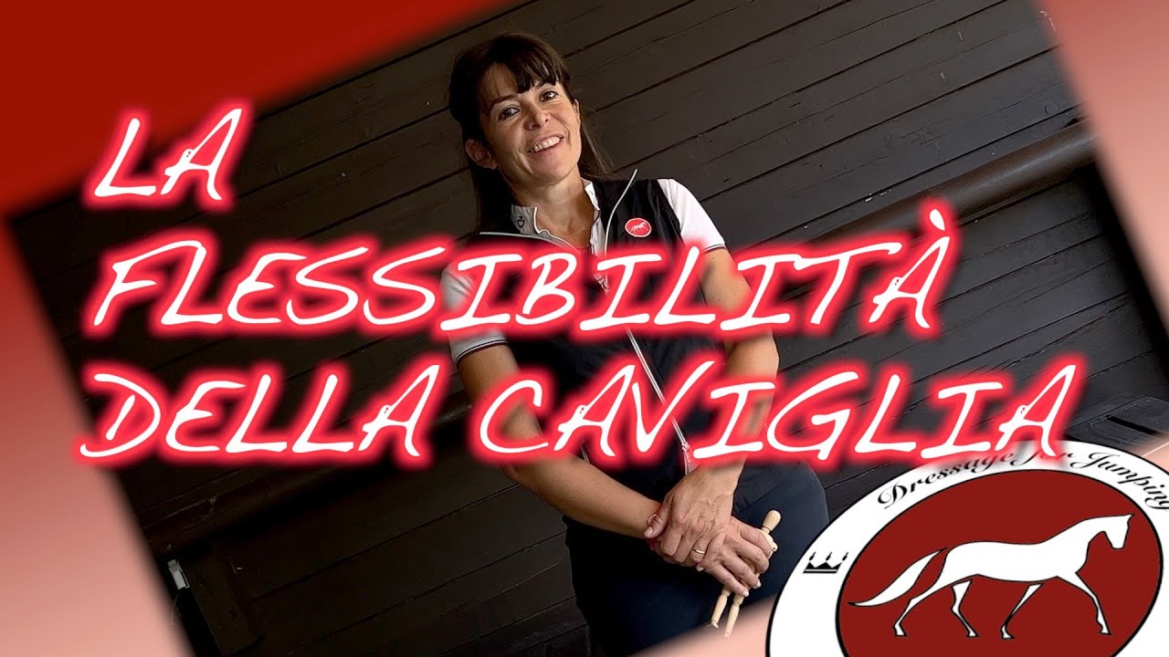 Come avere una caviglia flessibile a cavallo? #dressageforjumping #equitazione #cavallo