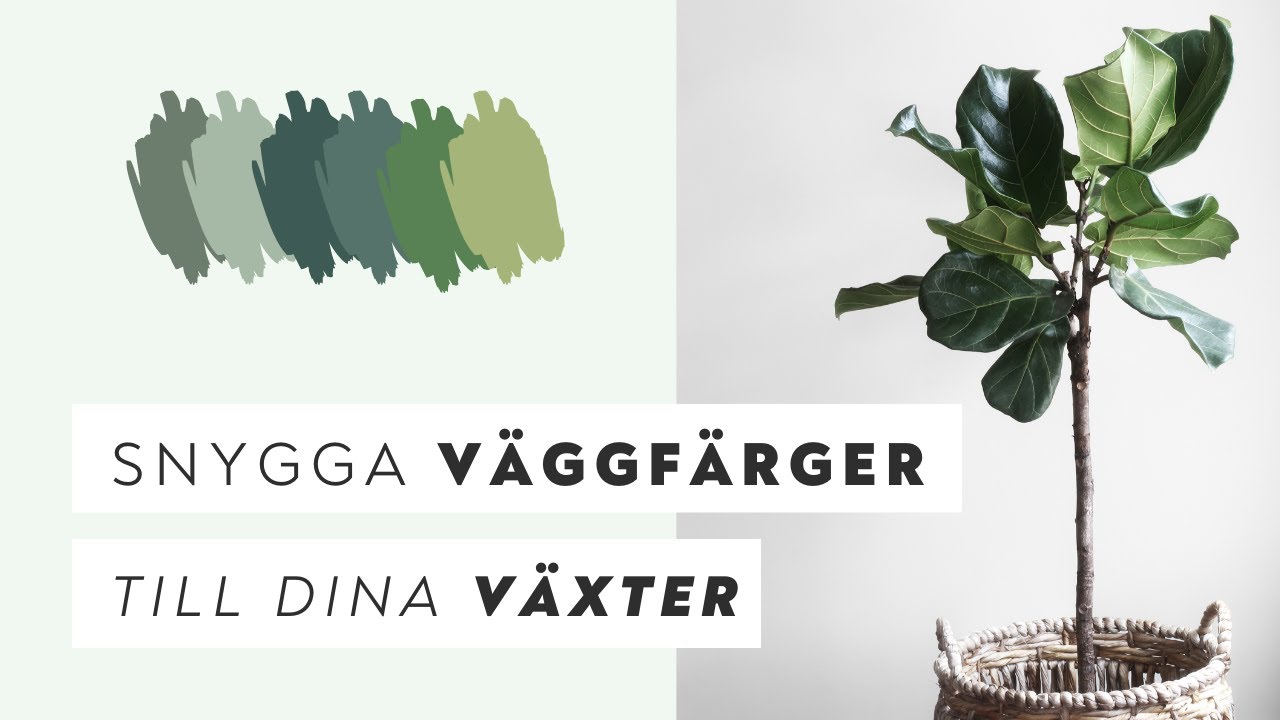 INREDNING | Välj väggfärg som passar till gröna växter och tips på färger