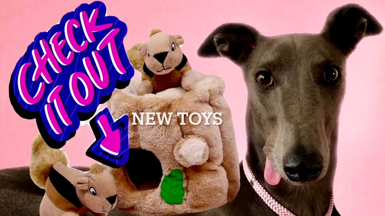 Fairy plays with new toys (a silent video)