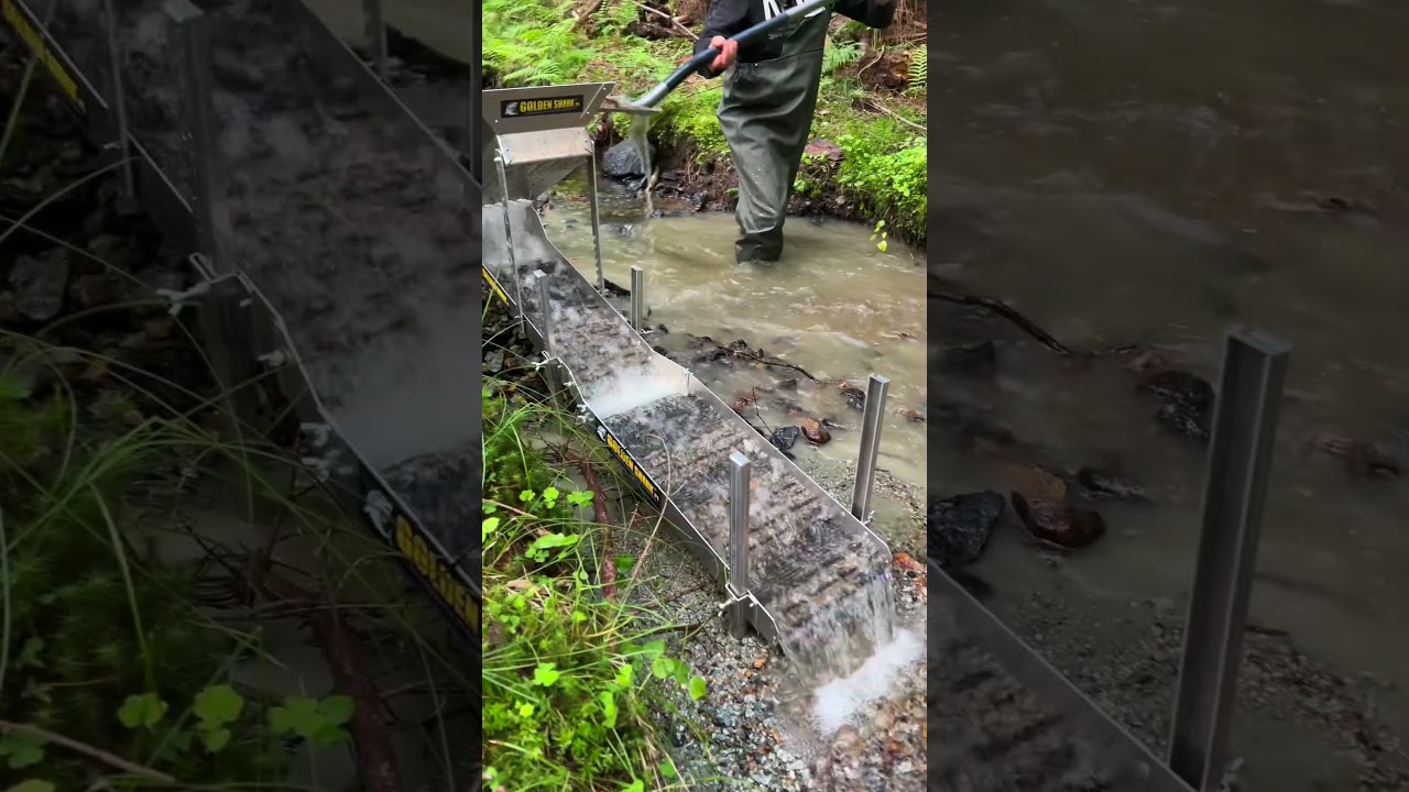 Złoto z małego strumyka w Polsce #goldprospecting #gold #goldrush