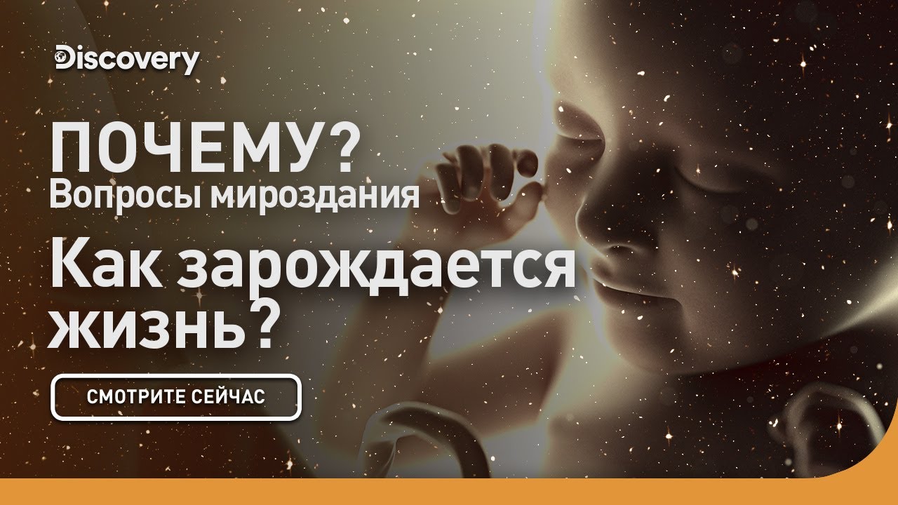 Как зарождается жизнь? | Почему: вопросы мироздания | Discovery