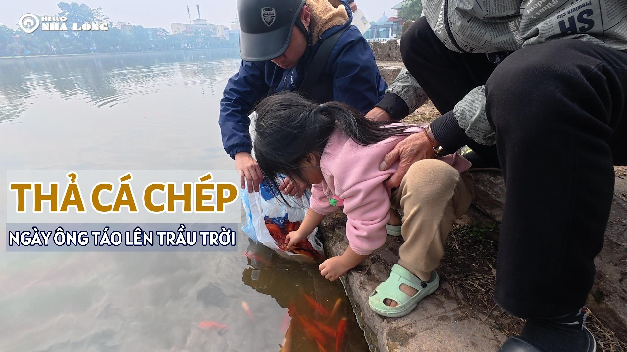 Phong tục thả cá chép Tiễn Ông Táo lên trầu trời | Ngày 23 Tháng Chạp