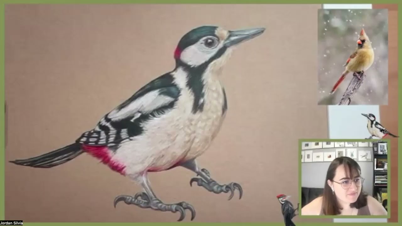 Colored Pencil Birds: in conversation with Jordan Silvia