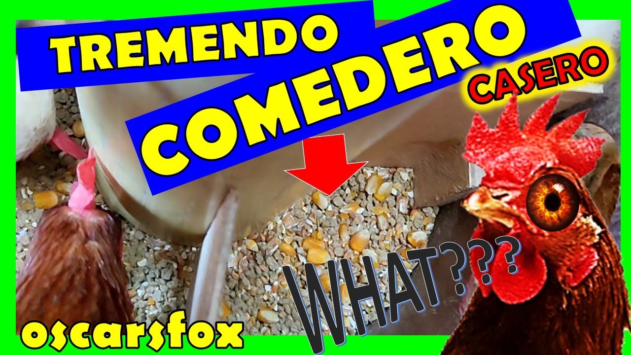 ✅ RECOMENDADO COMEDERO CASERO PARA GALLINAS - como hacer comedero de cero desperdicio⭐2022 RECICLADO