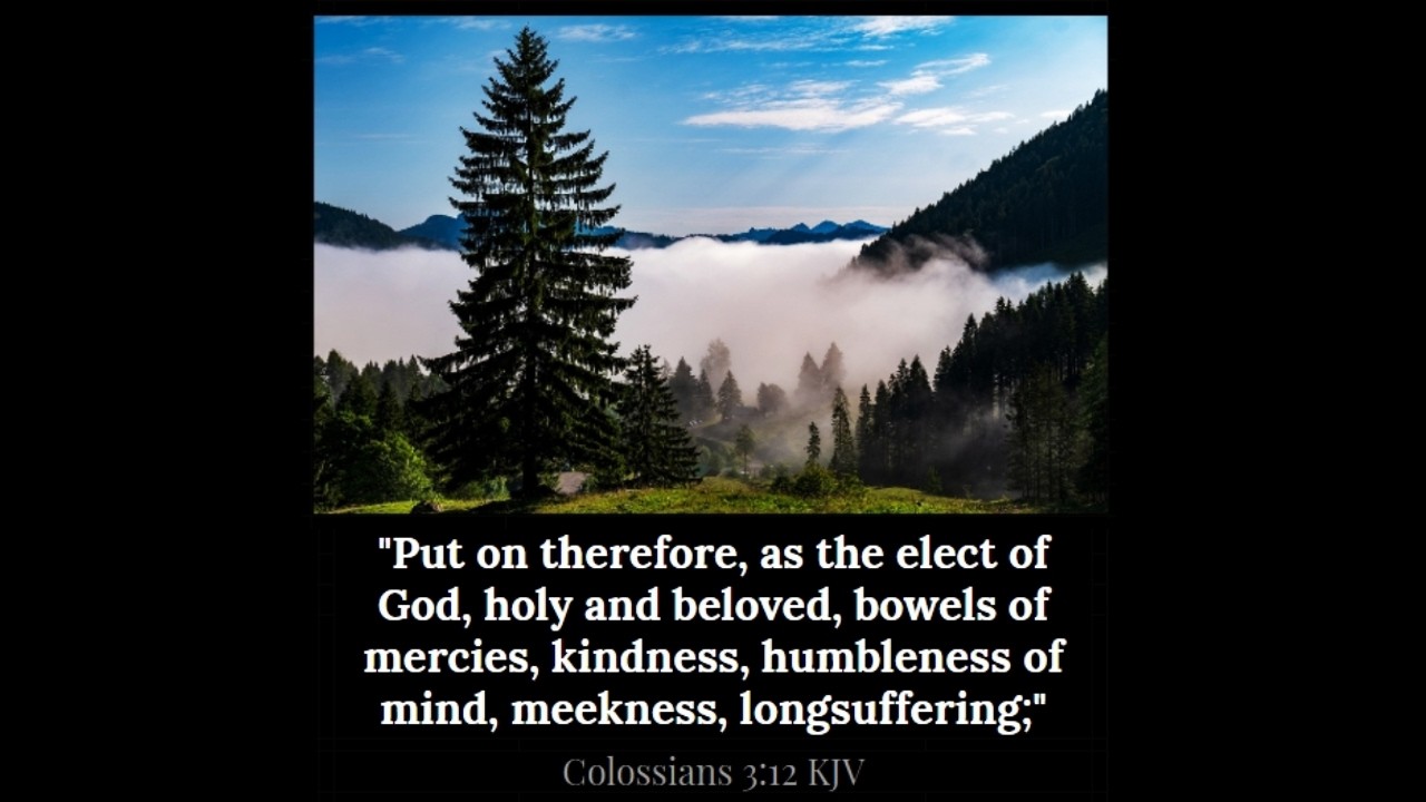 Put On As the Elect