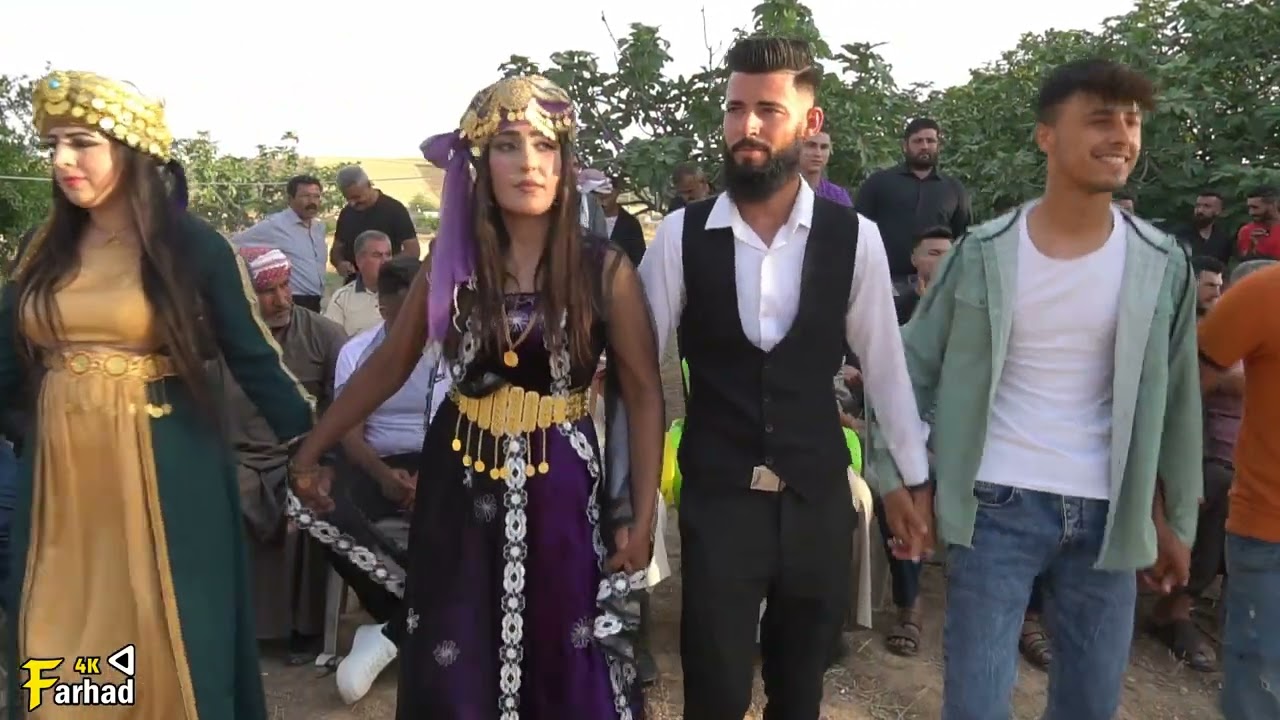 افراح كوباني قريه كرده حفله شيراز المستو & زوزان المستو 2024/5/5   .1.