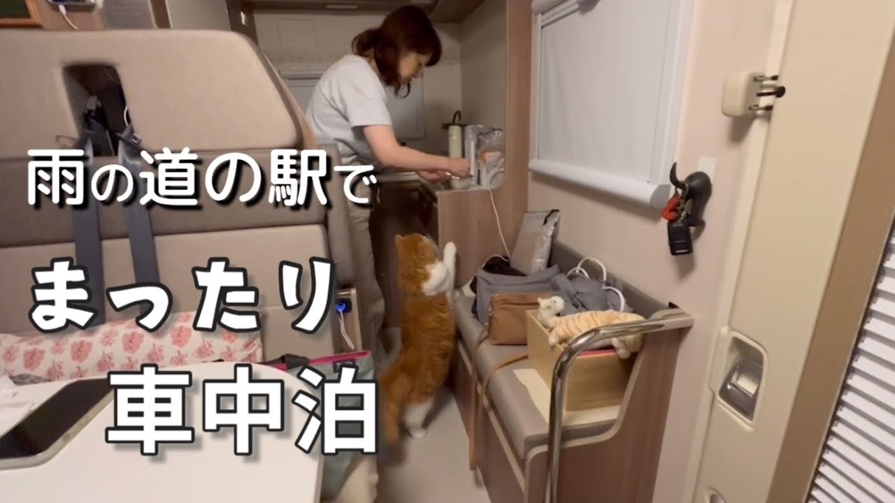 【キャンピングカー】Puppy480で雨の道の駅でゆっくり過ごしました／初車中泊旅#3