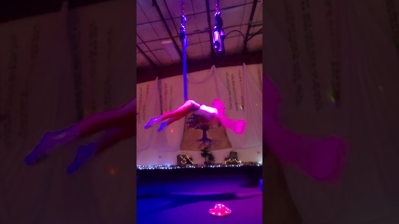 Spring Showcase
