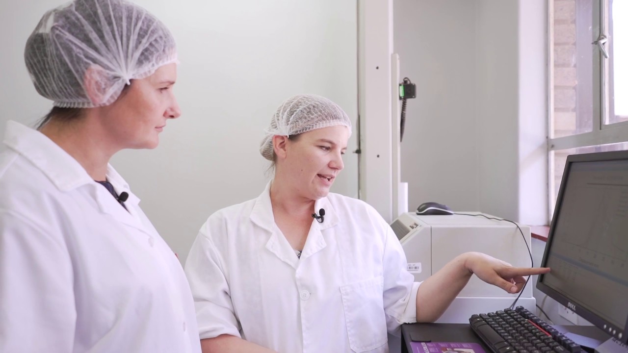 Mechanical Measurement of Chalmar Meat Tenderness | Warner-Bratzler Shear Force Test