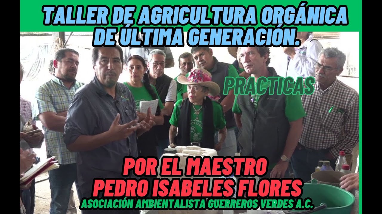 Taller de agricultura orgánica de última generación. Plagas y enfermedades. Practicas.