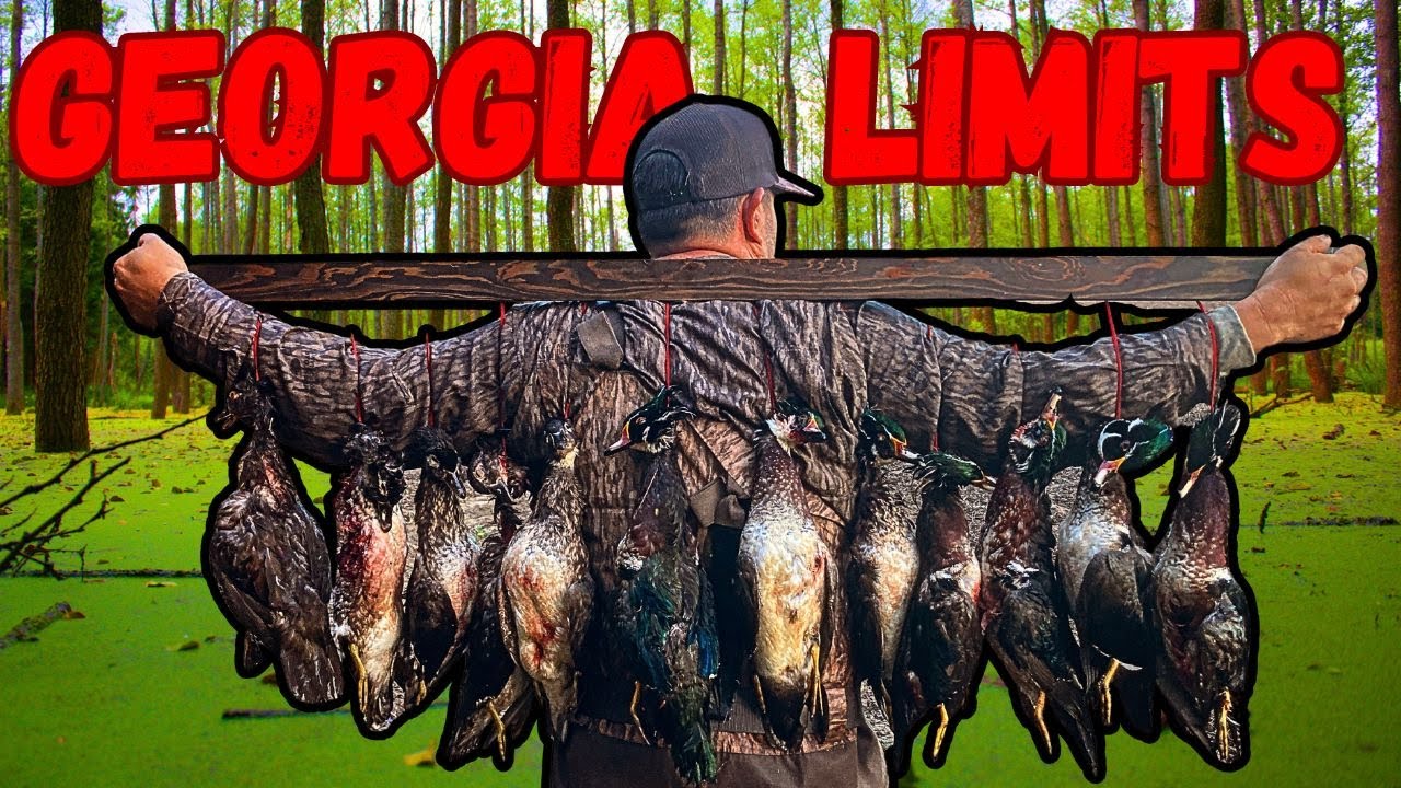 First Split Limits on Wood Ducks...South Georgia did not Disappoint!