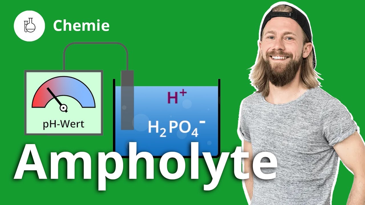 Ampholyte: Das musst du wissen! – Chemie | Duden Learnattack