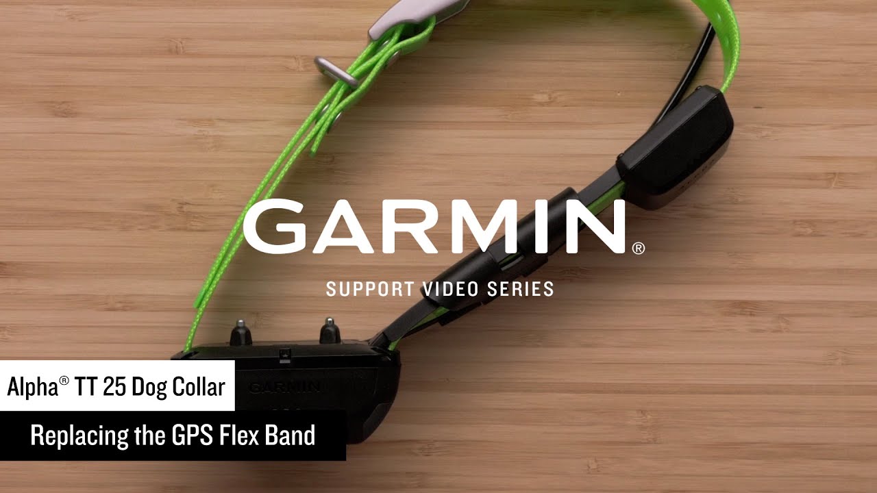 Служба поддержки Garmin | Ошейники для собак Alpha&reg; TT 25 / T 20 | Замена гибкой антенны GPS