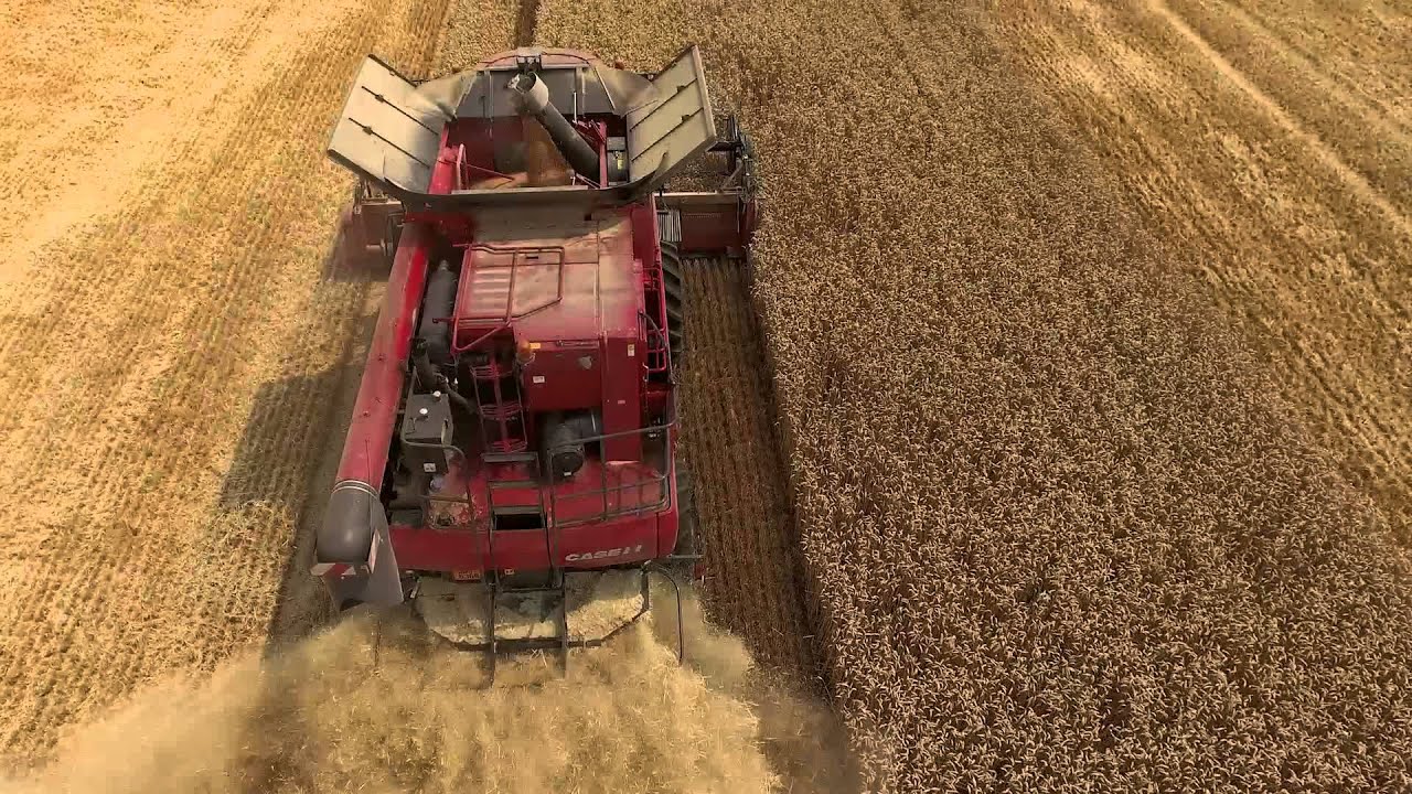 CASE IH Axial Flow 5130 v ZD Veselan