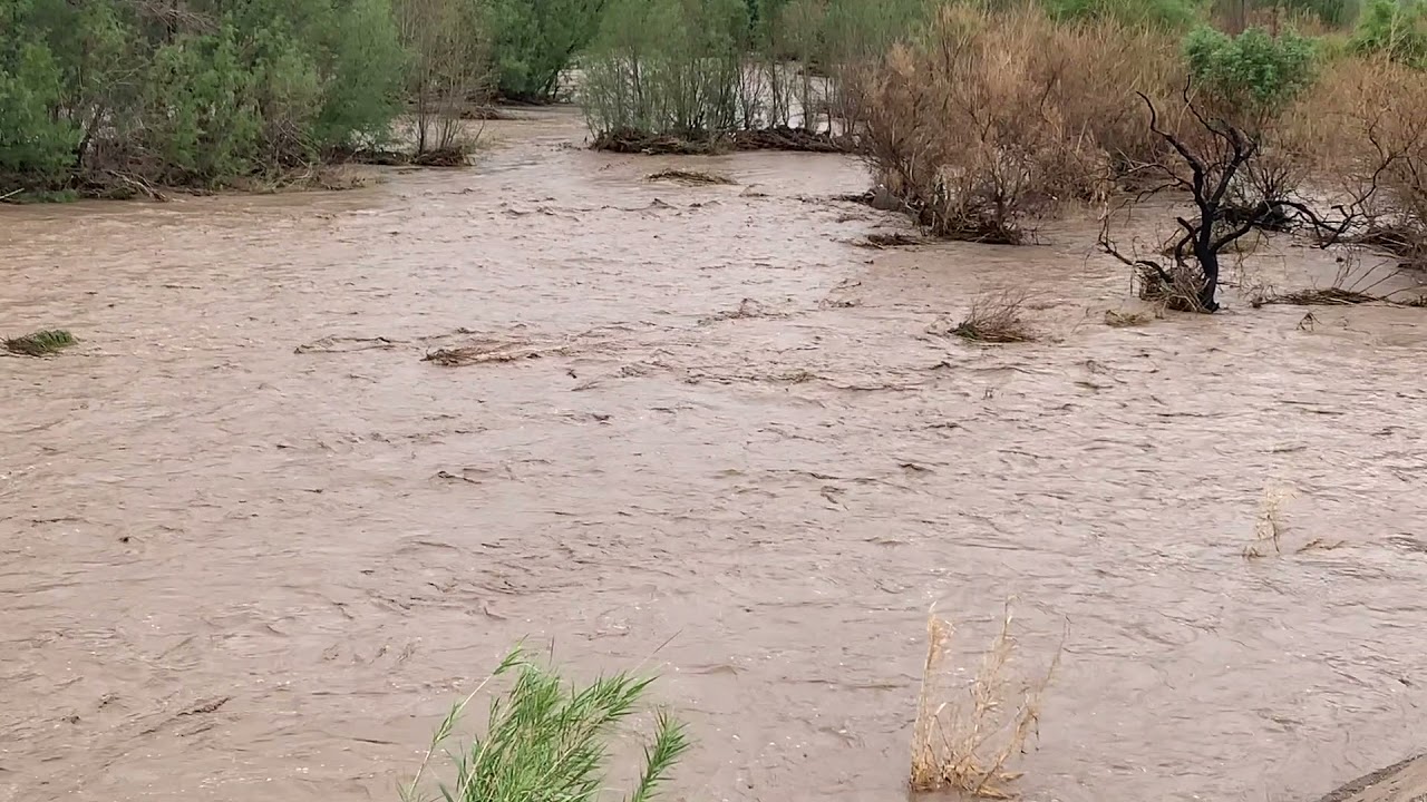 Tucson Monsoons 2021