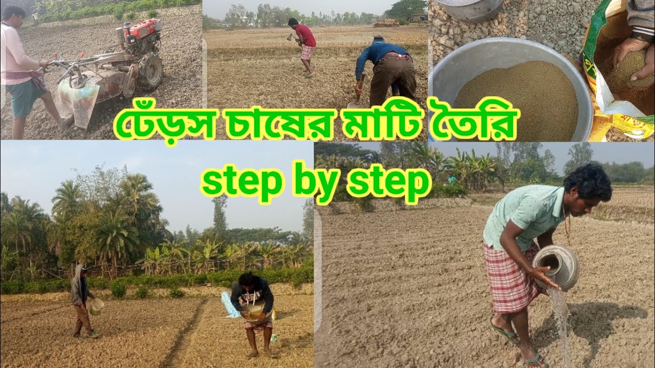 শীতকালীন ঢেঁড়স চাষের মাটি তৈরি। শীতকালীন ঢেঁড়স চাষ।