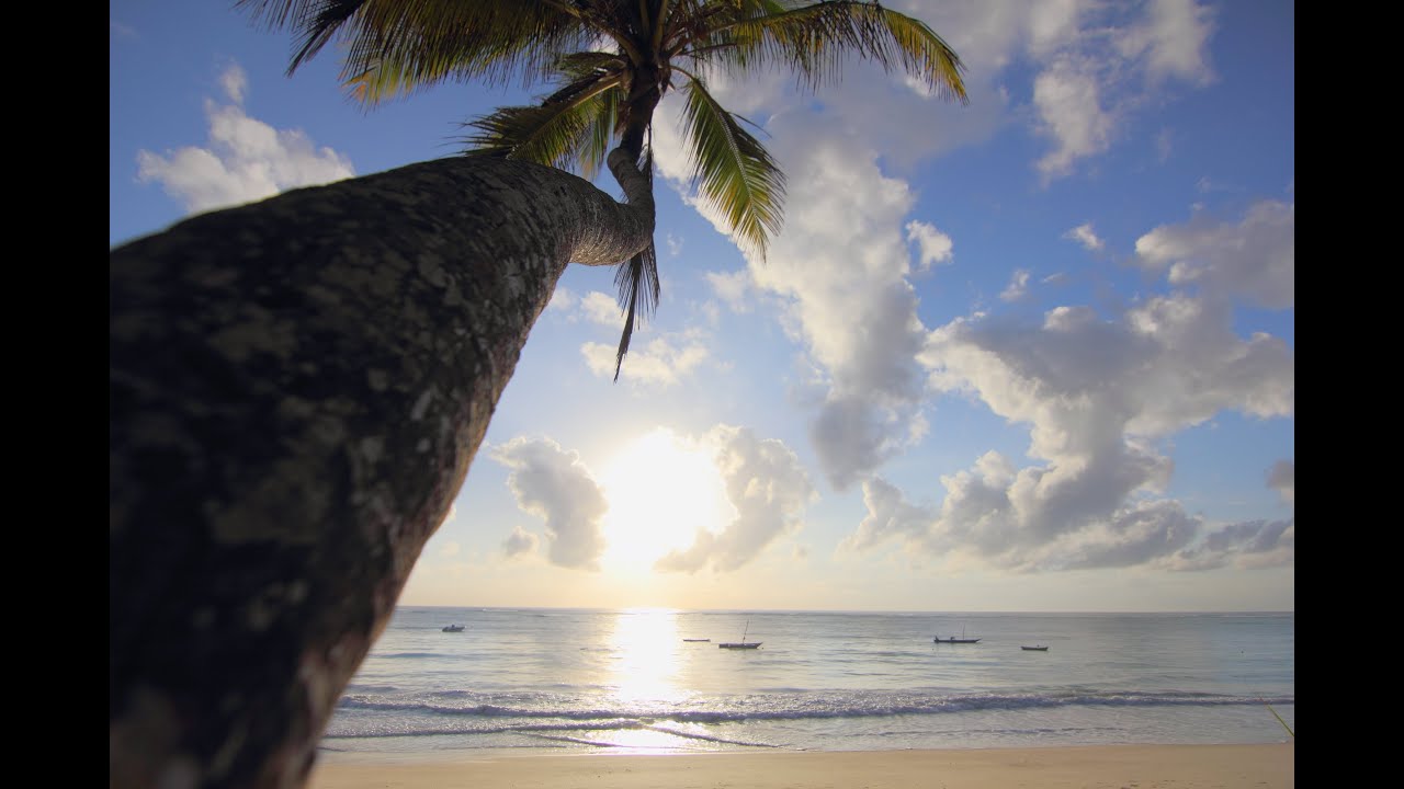 Southern Palms Beach Resort Diani Beach Kenia
