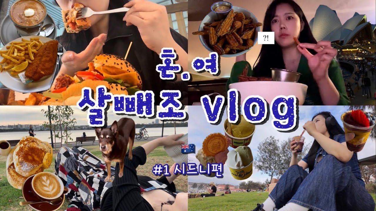 [🇦🇺혼.여 브이로그#1] 호주에서 혼자 뭐해요? 드러눕기요 ∠( ᐛ 」∠)＿ 감성 따위 없는💔 현실 시드니 브이로그✈️