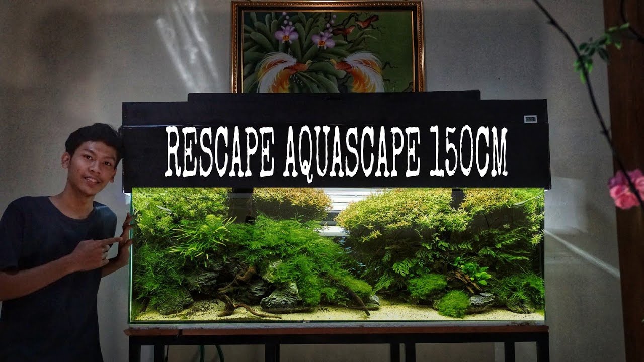 Rescape Aquascape 150x50x50cm