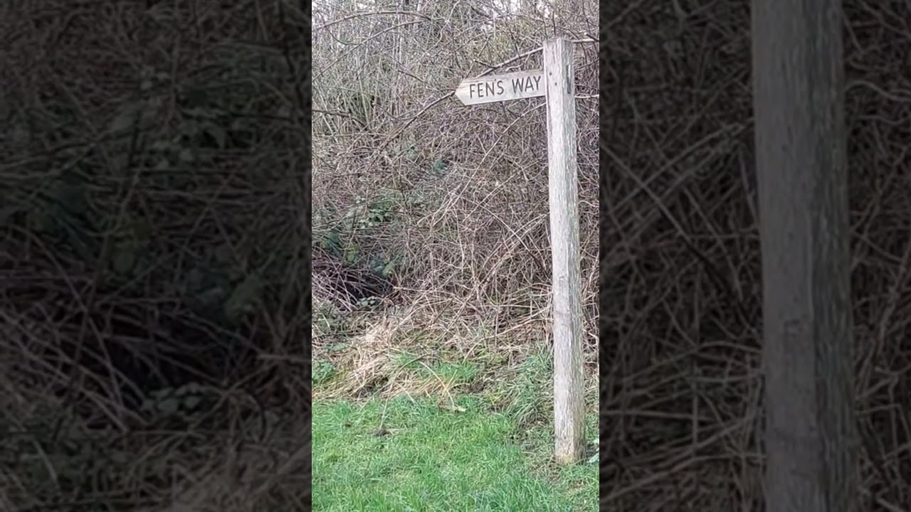 Fen's Way 