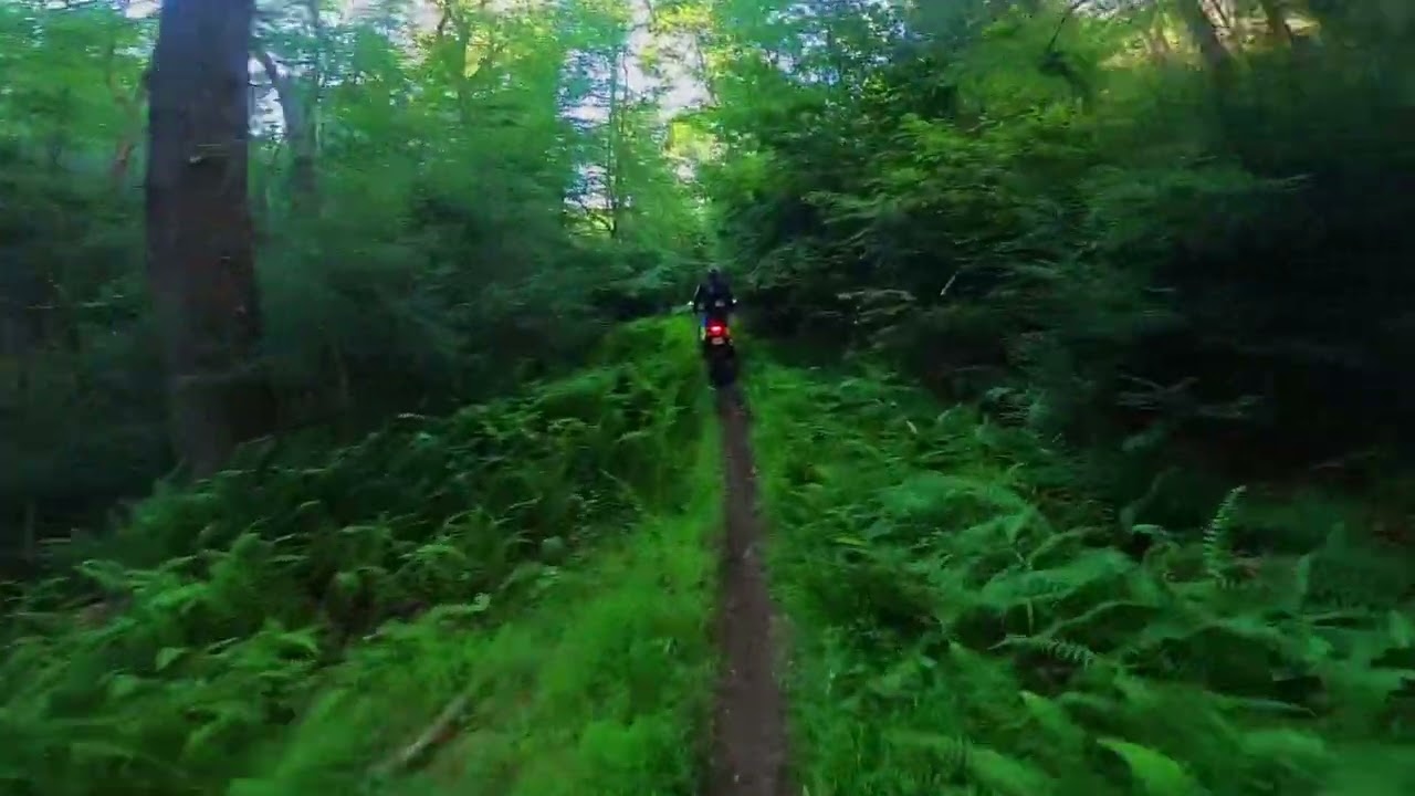 Escorting a GREEN Rider on a T7 Up The Trail (Michaux Dual Sport 2023)