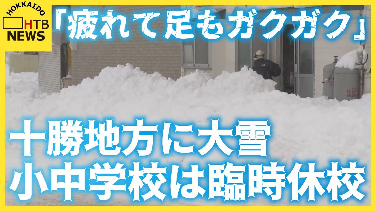 「疲れちゃって足もガクガク」十勝地方に大雪　朝まで続き住民ら雪かきに追われる　小中学校が臨時休校