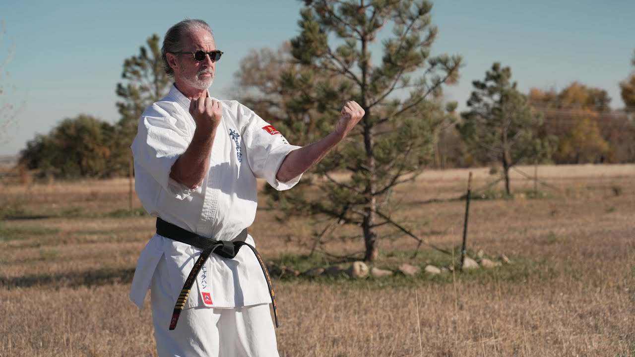 🇺🇸KYOKUSHIN  KARATE Moving Basics 