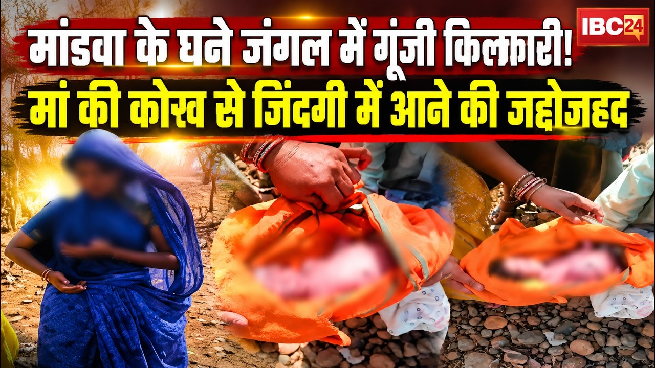 Burhanpur News: Echoes of joy in the dense Mandwa forest! The struggle of a newborn to enter the ...