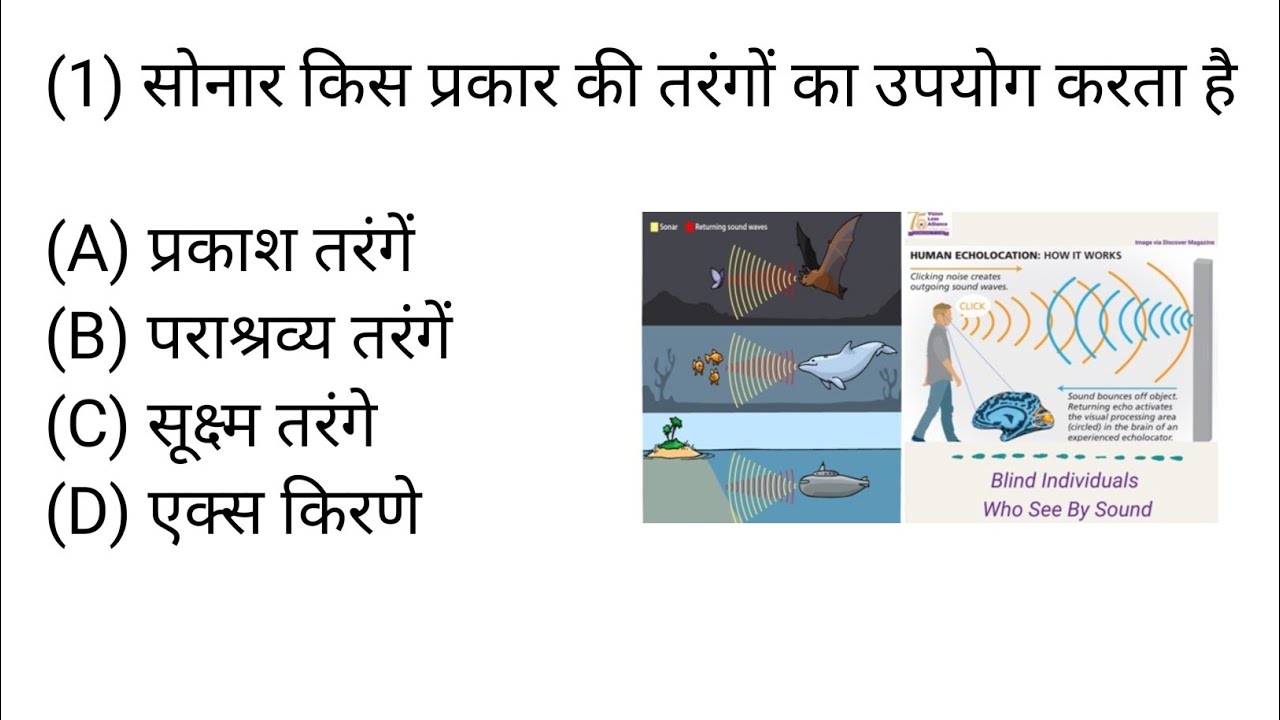 GK/GS के ऐसे सवाल जो बड़े-बड़े टॉपर भी नहीं बता पाए GeneralKnowledge Quiz2026 Important GK Questions