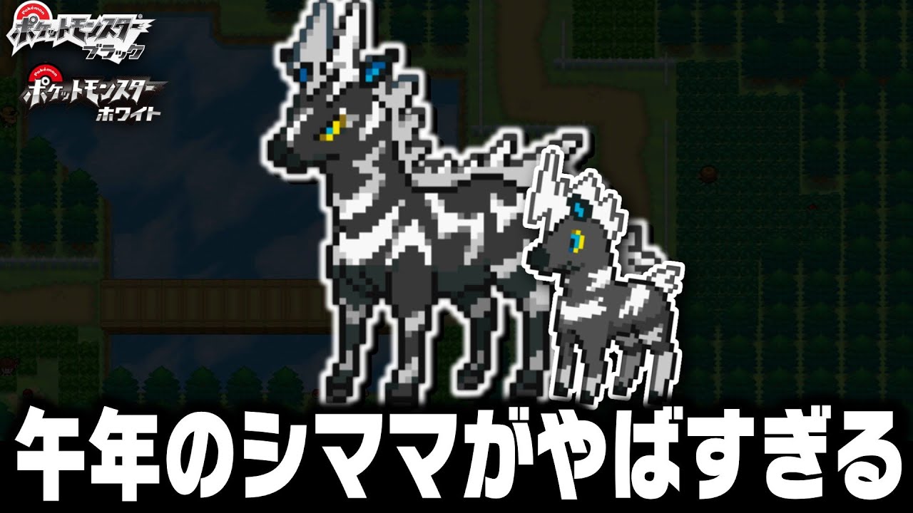 シママLv11が最初のポケモンだったら1匹で殿堂入りできるのか？【ブラックホワイト/BW/ゼブライカ】