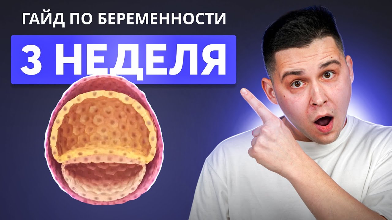 3 НЕДЕЛЯ БЕРЕМЕННОСТИ | Беременность по неделям с доктором Ченчак