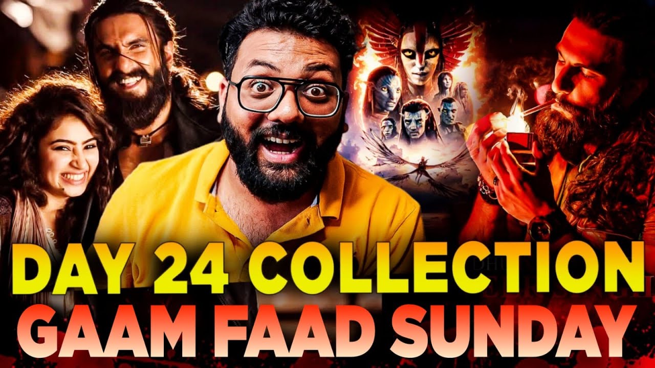 Dhurandhar Day 24 Total Worldwide Box Office Collection |Dhurandhar Crazy Box Office CollectionIndia
