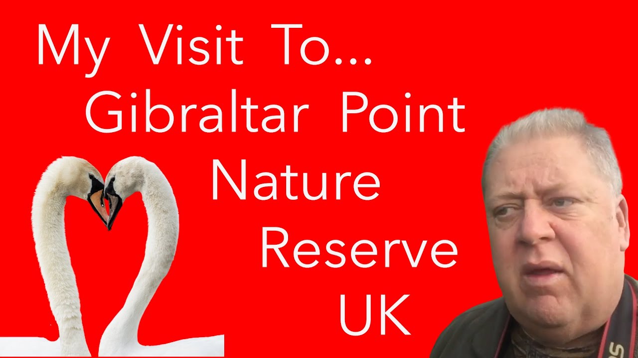 Gibraltar Point Nature Reserve on the East Coast UK - Wildlife Photography