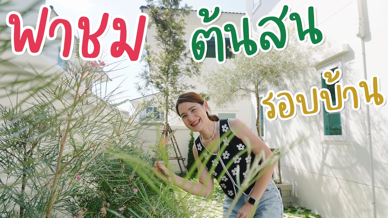 คริสต์มาสปีนี้มีต้นสนของจริง มาเดินชมต้นสนรอบบ้านกัน | อยู่กับบ้าน EP.7