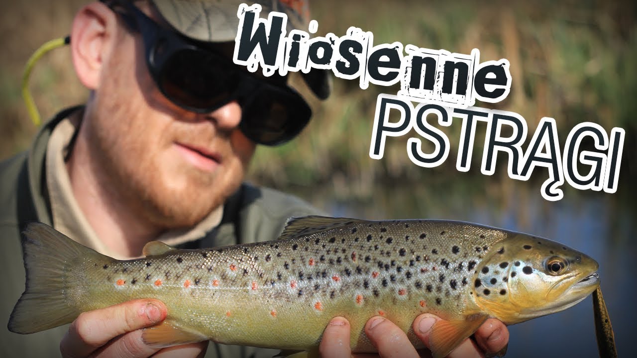 Łowienie pstrągów wiosną