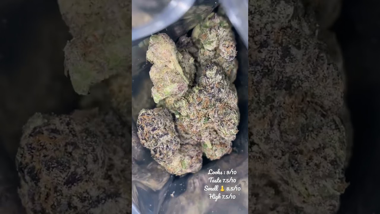 Jelly Donut 🍩 Silver Cup Late ⏰  Night &bull; Strain Review 😶&zwj;🌫️🧁🍩🔥🤯